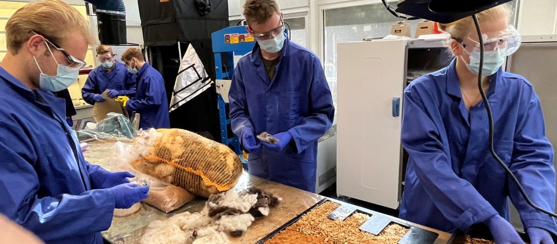 Studenten van Inholland zoeken naar het juiste recept voor mycelium.